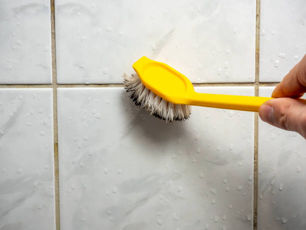 Certified Mold Removal in Kutztown, PA